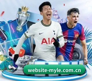 website-myle.com.cn的方向